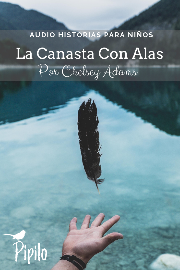 Muestra: La Canasta Con Alas