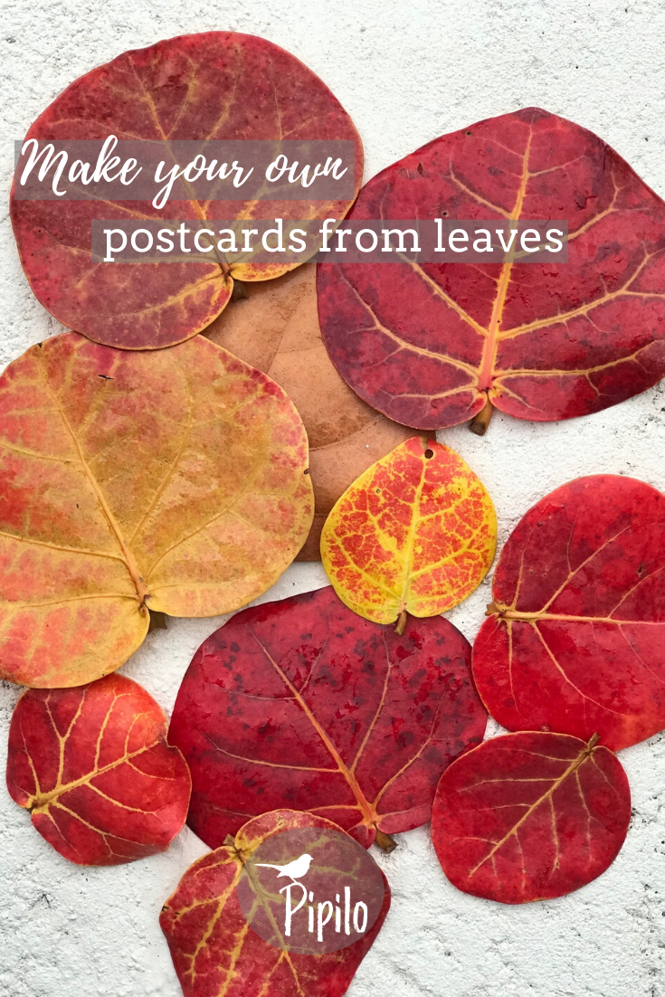 Postcards from Sea Grape Leaves
