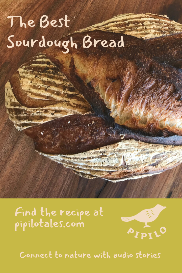 The Best Sourdough Recipe