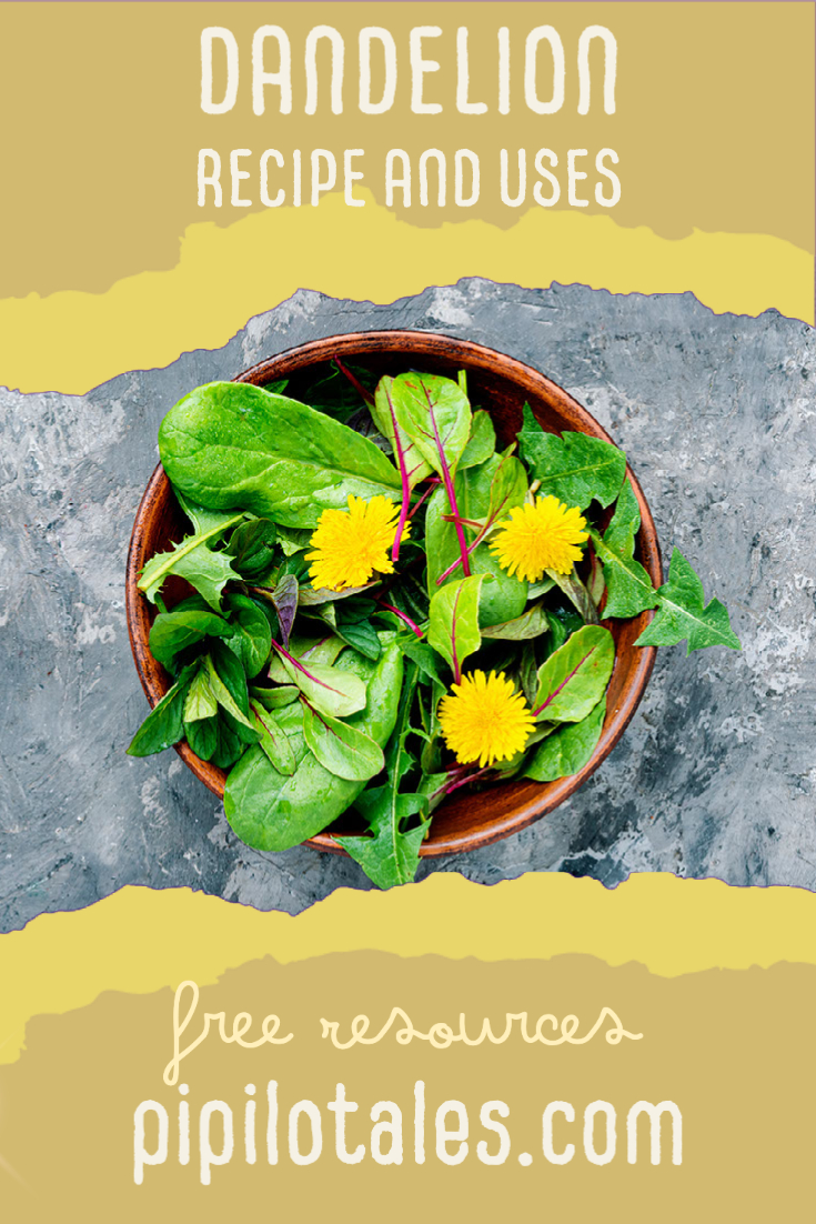 Dandelion Recipes and Uses