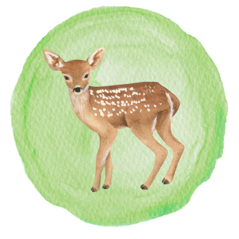 Animal Tales image