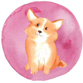 Pets image