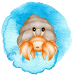 Herman the Hermit Crab