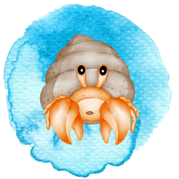 Herman the Hermit Crab image