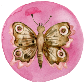Insect image