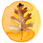 Fall