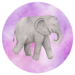 African Animals