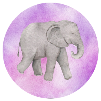 African animals image
