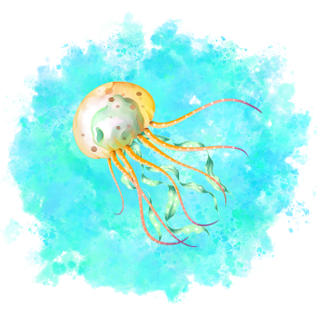 Ocean animals image
