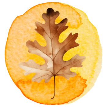 Fall image